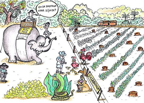 Safari fotográfico.-¿Y las bestias dónde están?